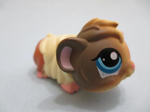 LIKE NEW LITTLEST PET SHOP GUINEA PIG CREAM & BROWN w/ BLUE EYES HAMSTER GERBIL 1418 Oct29ni