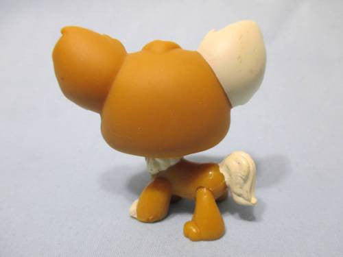 LIKE NEW Littlest Pet Shop LONG HAIR CHIHUAHUA 528 Brown Dotted Rare ...