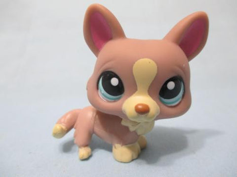 Littlest Pet Shop Tan  Cream CORGI 1158 Welsh White Brown Dogs  Authentic APR13J (No Tail)