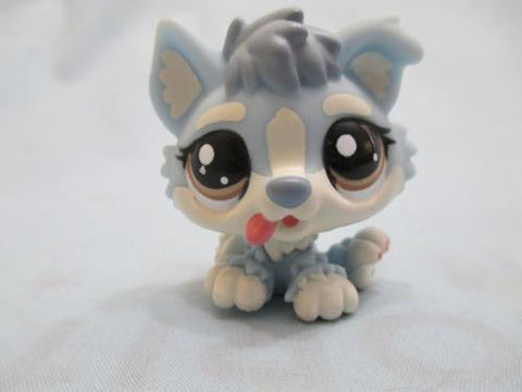 LITTLEST PET SHOP LPS DOG DOGS CHIEN HUSKY BABY 1683 RARE Authentic LPS Nov25n