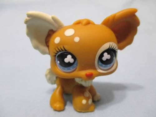 LIKE NEW Littlest Pet Shop LONG HAIR CHIHUAHUA 528 731 Brown Dotted ...
