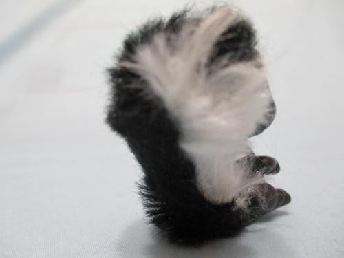 Littlest Pet Shop Squirrel Skunk Black and White with Fluffy Tail ...