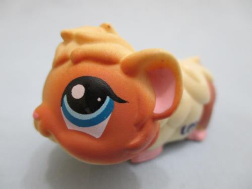 LIKE NEW LITTLEST PET SHOP GUINEA PIG CREAM & BROWN w/ BLUE EYES HAMSTER GERBIL 1418 Oct29ni