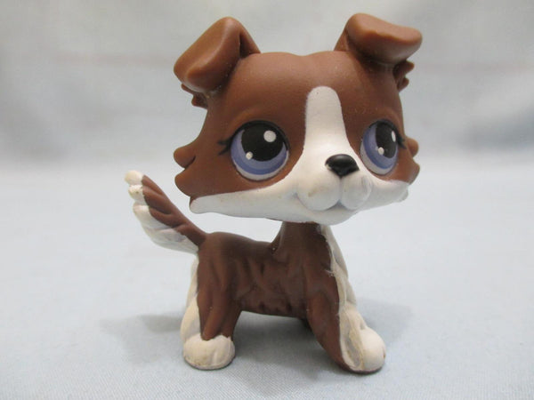 LIKE NEW Littlest Pet Shop No Number Chocolate Brown White Puzzle Collie Dog Authentic Lps FEB11J
