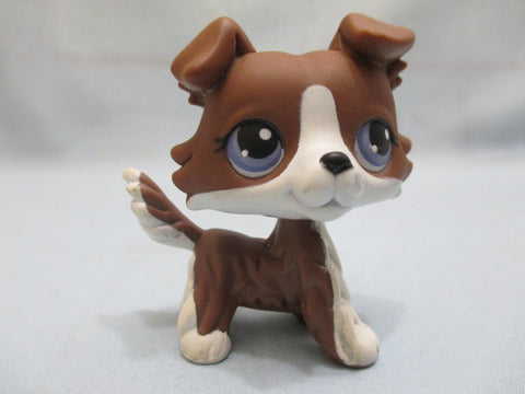 LIKE NEW Littlest Pet Shop No Number Chocolate Brown White Puzzle Collie Dog Authentic Lps FEB11J