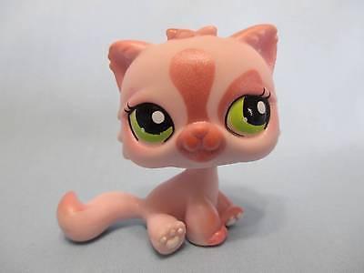 Littlest Pet Shop Pink Persian Cat 1083 Kitty Authentic Has Initial Jan6J