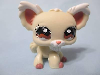 LIKE NEW Littlest Pet Shop 1199 Cream Long Hair Chihuahua Dog Brown Eyes Authentic Dec05ni