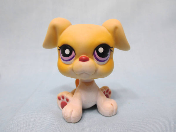 Littlest Pet Shop Dog Boxer 451 Authentic Lps APR14J