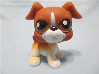 Littlest Pet Shop Dog Boxer 25 Variant Puppy Authentic LPS  MAY13J
