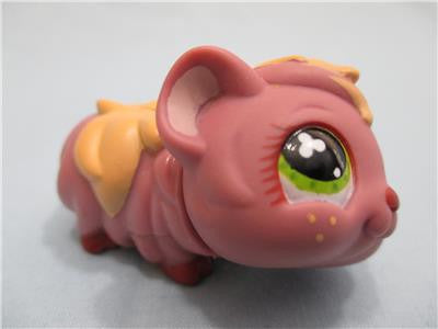 LIKE NEW Littlest Pet Shop 510 Purple & Yellow Guinea Pig Freckles Green Eyes Authentic Dec06npo29