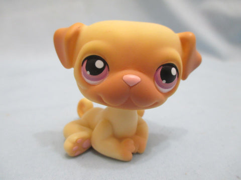 Littlest Pet Shop LPS Costco Exclusive Pug with No number Purple Eyes Authentic Lps AIK Jan27j