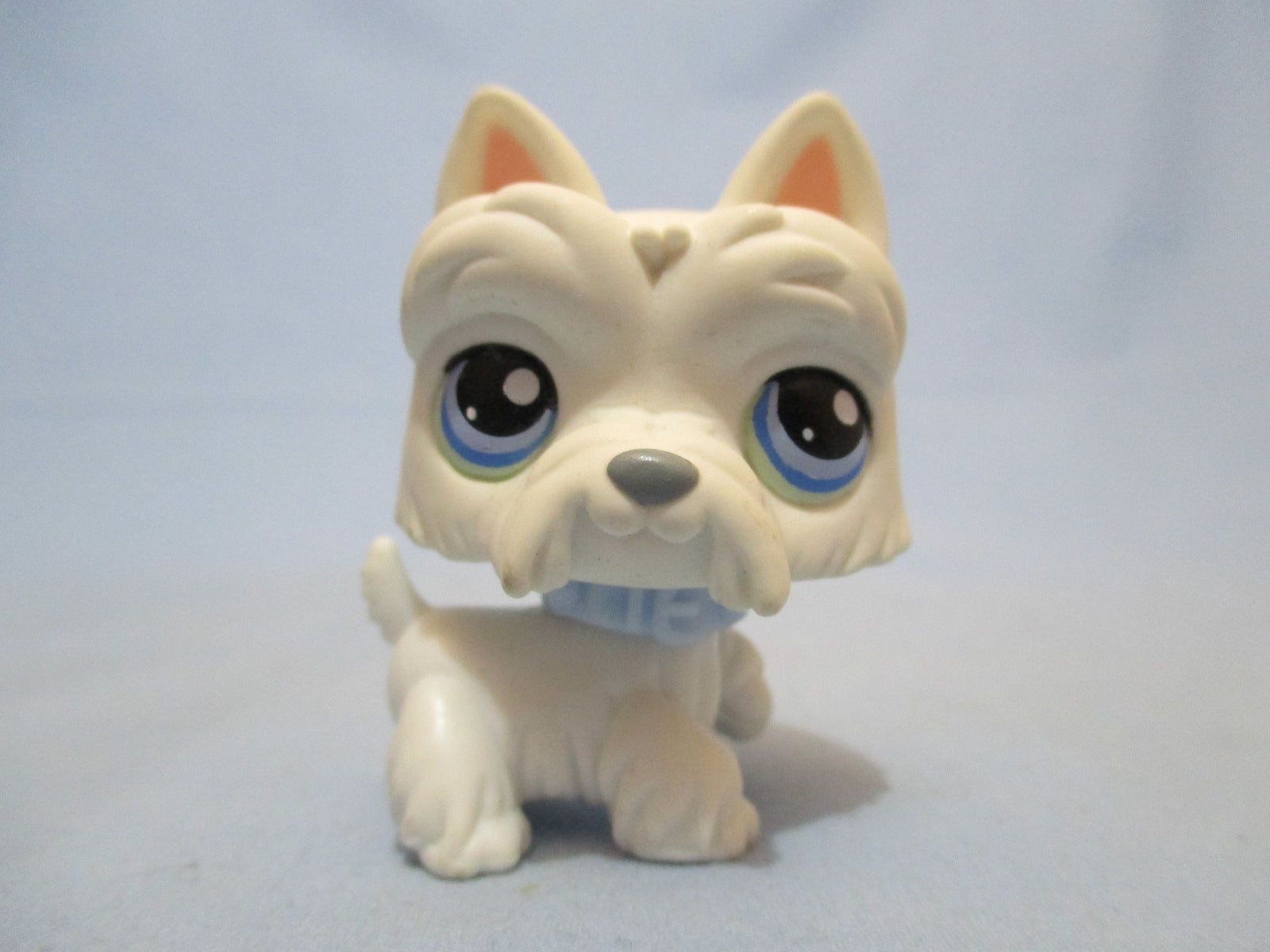 LIKE NEW Littlest Pet Shop Dog White Scottie 24 with Original Blue ...