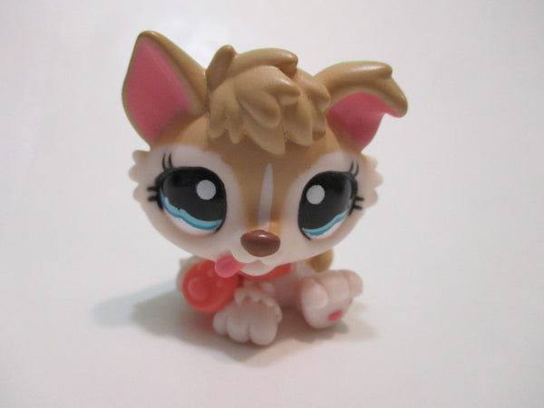 LIKE NEW Littlest Pet Shop Dog Baby Husky 1013 with Collar Original Accessory Authentic Lps Nov30npoHG