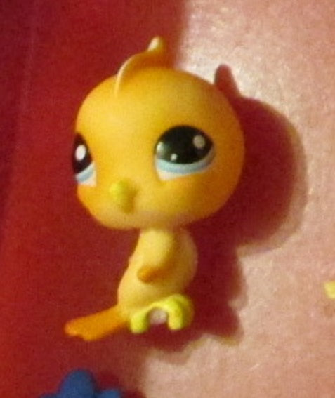 Littlest Pet Shop Brown Bird Parakeet 976 Authentic LPS MAR8J