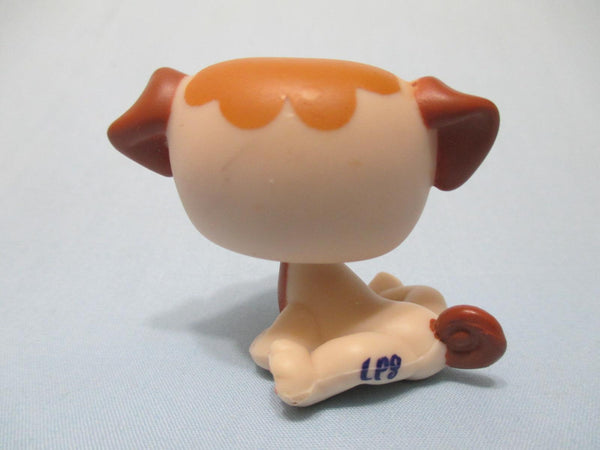 Littlest Pet Shop Pug 1753 Brown And Tan Dog Authentic Lps Mar19ni