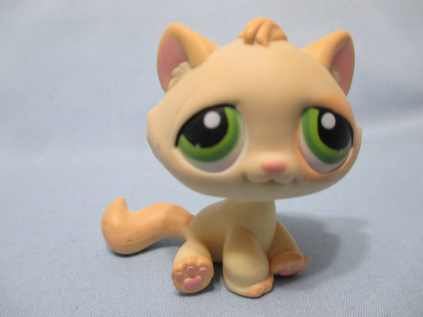 LIKE NEW Littlest Pet Shop Cat Tabby Kitty Screamy Green Eyes 401 Authentic Lps Feb9ni
