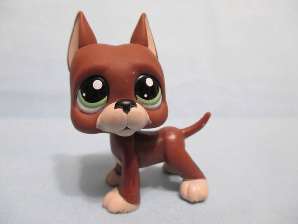 LIKE NEW Littlest Pet Shop RARE Brown Chocolate Great Dane Dog Puppy with Green Eyes LPS 1519 Authentic Nov28ni