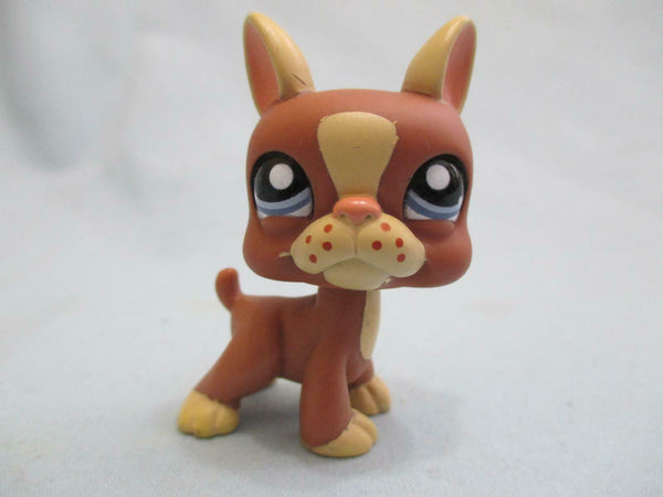LIKE NEW Littlest Pet Shop 1789 Boston Terrier Puppy Dog Authentic Lps Nov28ni