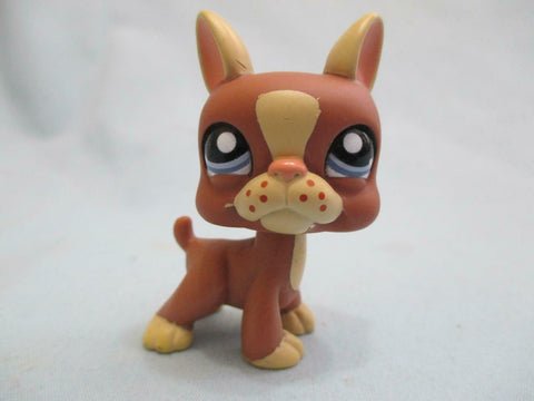 LIKE NEW Littlest Pet Shop 1789 Boston Terrier Puppy Dog Authentic Lps Nov28ni