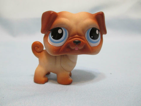 LIKE NEW LITTLEST PET SHOP 1312 CUTE BROWN PUG PUPPY DOG BLUE EYES RARE Authentic LPS Nov30npoHG