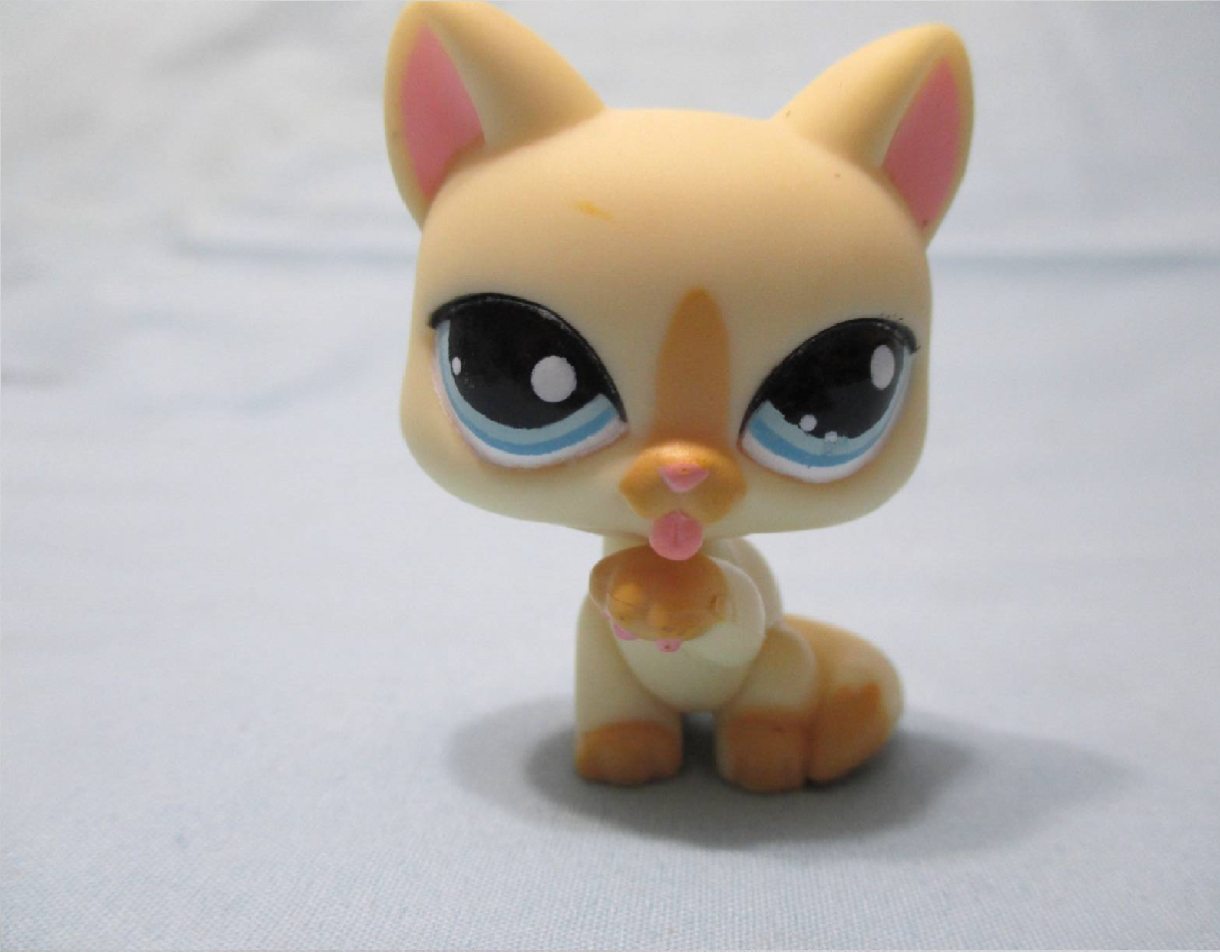 Lps 71 LIKE NEW Littlest Pet Shop Short Hair Shorthair Cat Kitten Yellow ...