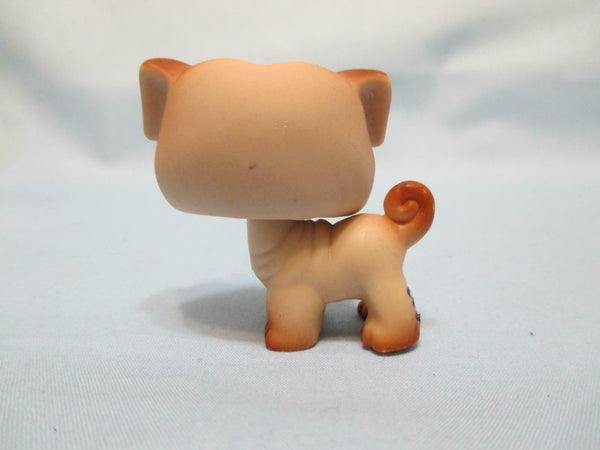 LIKE NEW LITTLEST PET SHOP 1312 CUTE BROWN PUG PUPPY DOG BLUE EYES RARE Authentic LPS Nov30npoHG