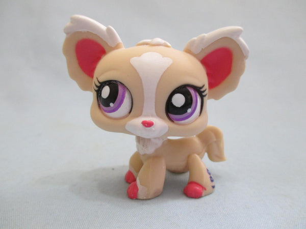 Littlest Pet Shop 1892 Cream Pink & White Chihuahua Puppy Dog Authentic DEC13J