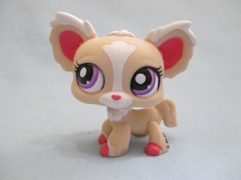 Littlest Pet Shop 1892 Cream Pink & White Chihuahua Puppy Dog Authentic DEC13J