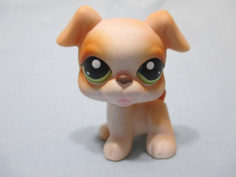 LIKE NEW Littlest Pet Shop Tan Boxer Dog Green Eyes 235 Authentic LPS Nov30npoHG