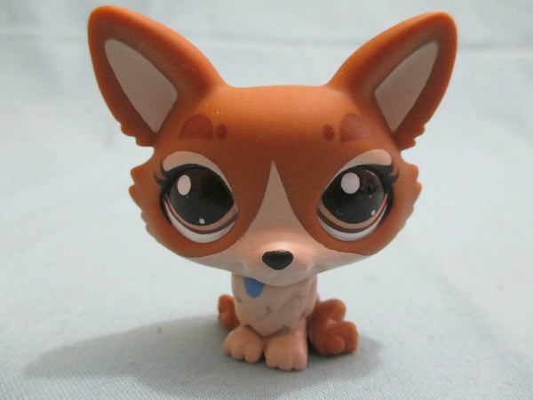 Littlest Pet Shop Rare Brown Corgi Dog 3567   Brown Eyes LPS Authentic Dec19ni